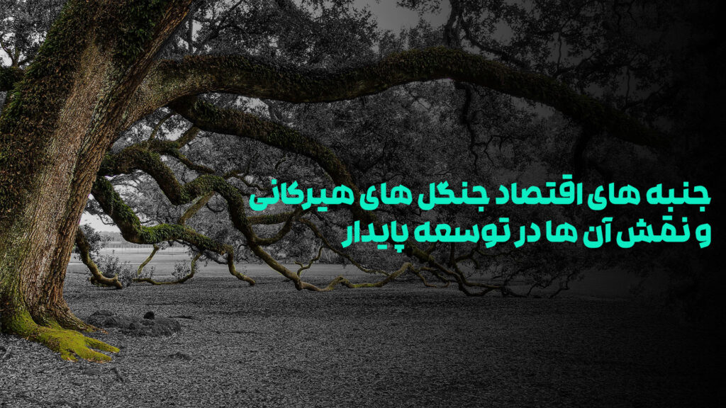 اقتصاد جنگل های هیرکانی