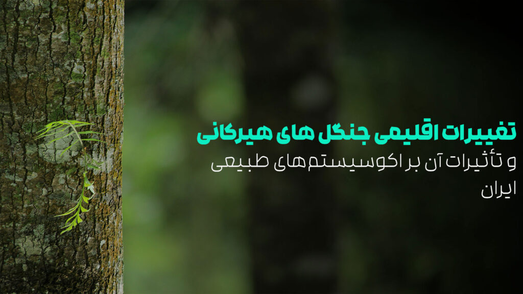 تغییرات اقلیمی جنگل های هیرکانی