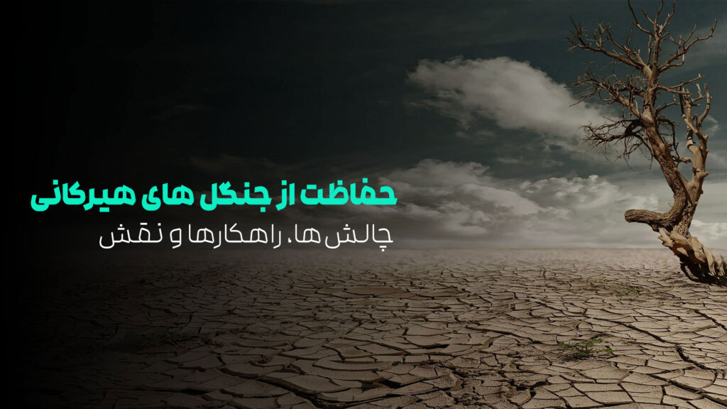 حفاظت از جنگل های هیرکانی