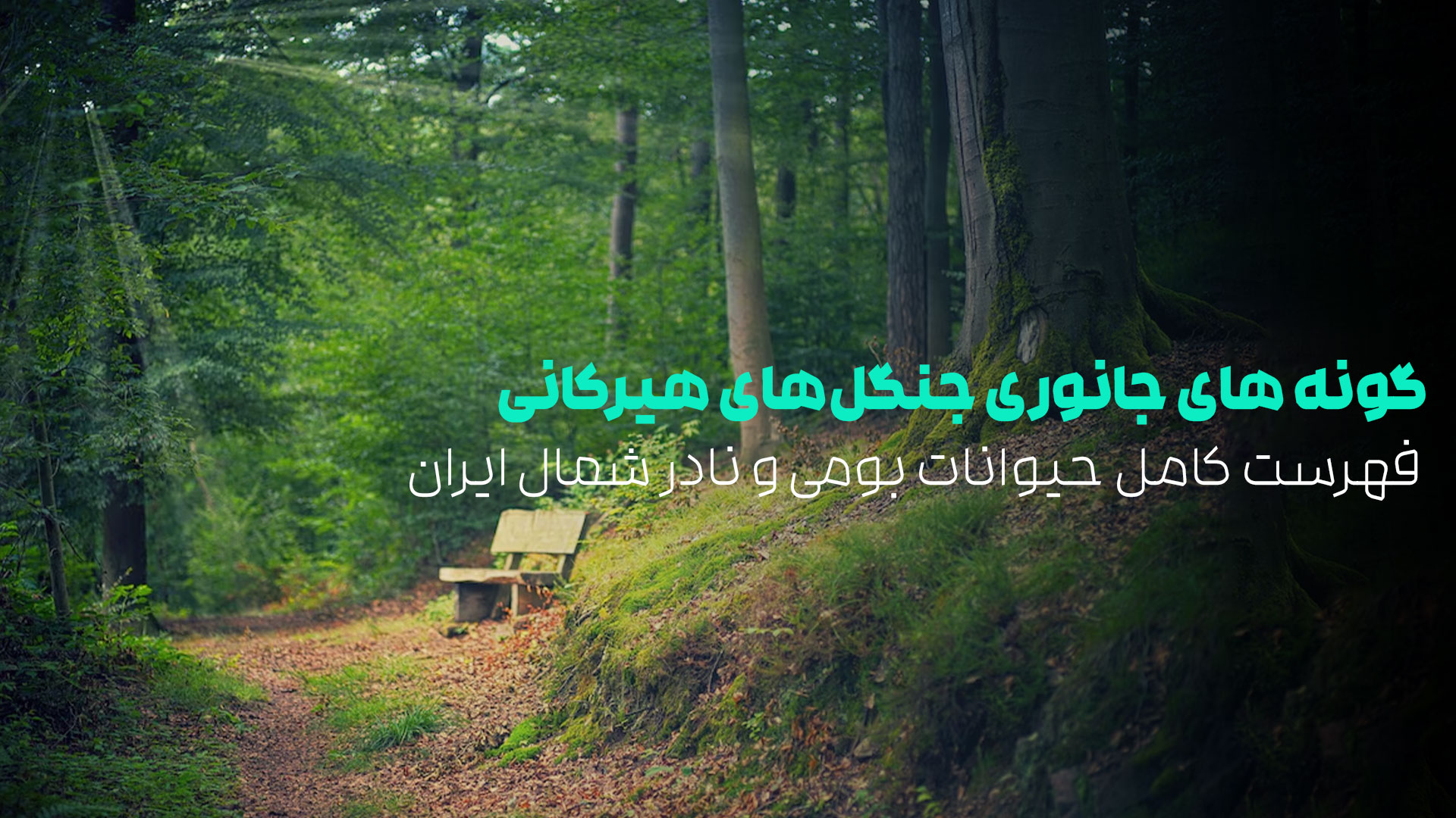 گونه های جانوری جنگل های هیرکانی