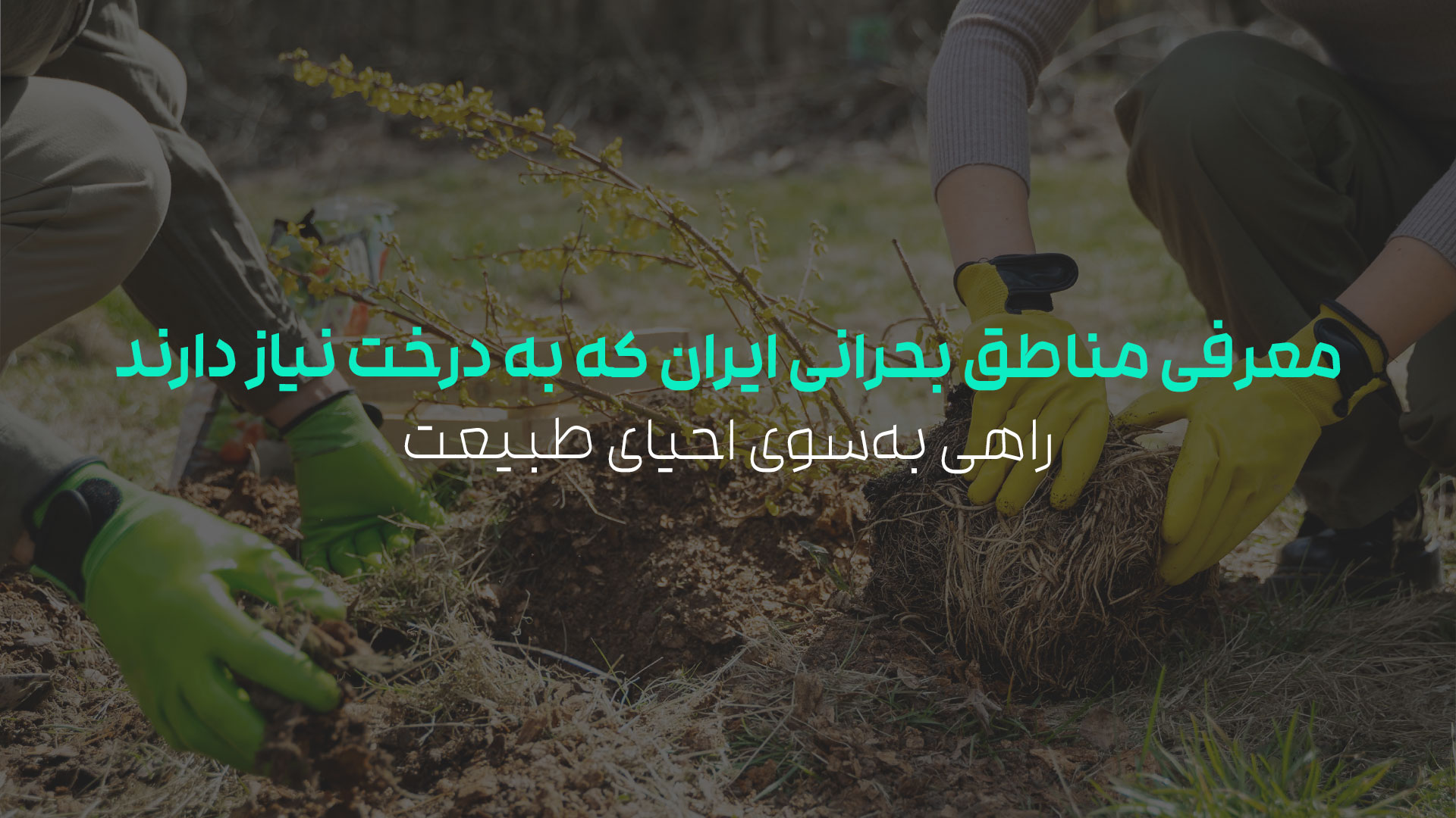 مناطق بحرانی