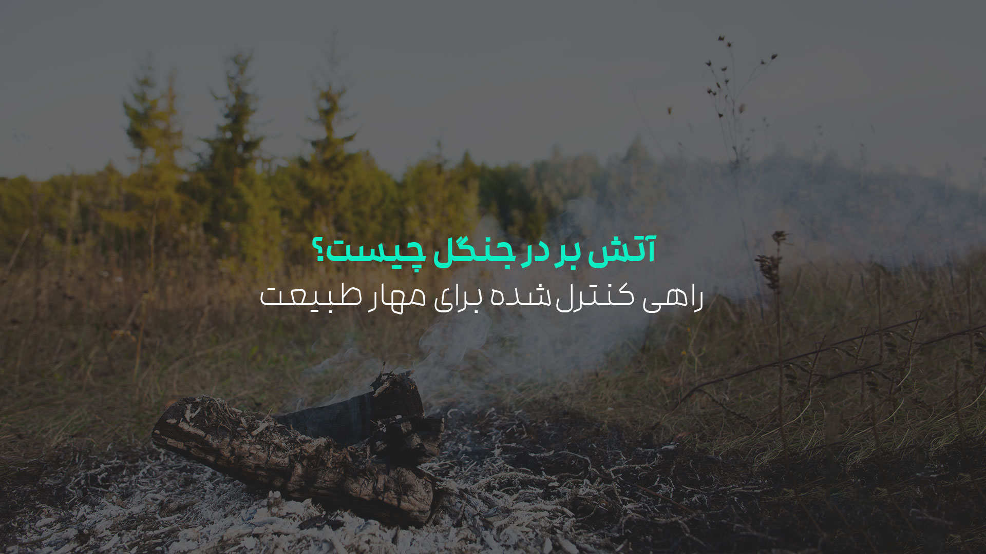 آتش بر