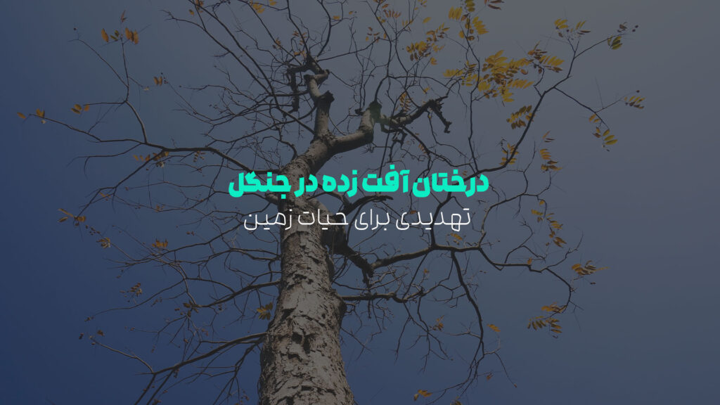 درختان آفت زده