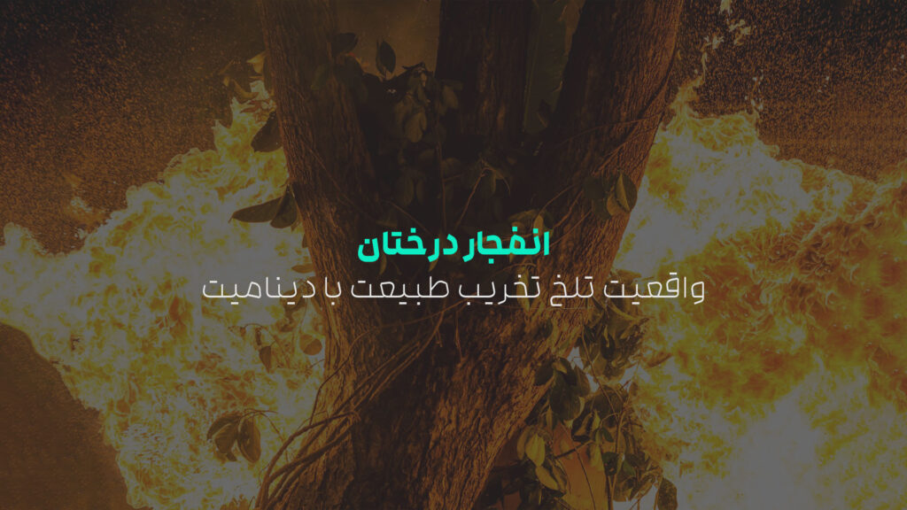 انفجار درختان